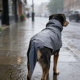 thumbnail image 2 of TIELUTT A Full Coverage All Weather Raincoat with A Tail Suitable for Outdoor Walks and Hiking. Dog Calming Life Vest for Dogs Large Calming for Dogs Life Jacket Dog Lifeguard Shirt, 2 of 6