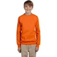thumbnail image 2 of Hanes ComfortBlend EcoSmart Chandail à Col Rond pour Garçon, G, Orange, 2 of 4