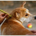 thumbnail image 2 of Outil Anti-Tiques Sécuritaire pour les Animaux de Compagnie, Tique et les Humains, Orange, 2 of 3