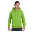 thumbnail image 1 of Hanes - Ecosmart Hooded Sweatshirt, 1 of 1