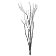 thumbnail image 1 of Bouclair Black Branches, 1 of 2
