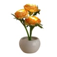 thumbnail image 2 of weibbin Ceramic Flower Pot LED Night Light USB Desk Lamp for Bedroom Home Decor, 9.45x3.54 Inches, Yellow, 2 of 6