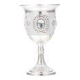 thumbnail image 1 of 1Pc Exquisite Wine Goblet Small Wine Glass Decorative Drinking Cup Home Accessory, 1 of 8