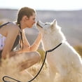 thumbnail image 3 of Nylon Pet Dog Training Leash Adjustable Length Suitable for Small Dogs, 3 of 3