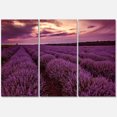 thumbnail image 4 of Designart Sunrise & Dramatic Clouds Over Lavender Field III Canvas Wall Art, 4 of 4