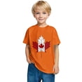 thumbnail image 4 of T-shirt Doux à Manches Courtes Décontracté pour Tout-Petit HVOBBTY, T-shirt Mode à Col Rond à Manches Courtes Orange pour Garçons Tout-Petits avec Imprimé de Feuilles d'Érable, 9 Ans, 4 of 5