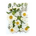 thumbnail image 1 of XYAIYT Dried Embossed Flowers for Resin Kit Natural Crafting Material for Candles,Jewelry,Scrapbooking,DIY Home Decor,Ideal for Gift Making Creative Projects, 1 of 1