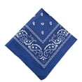 thumbnail image 1 of Birdeem Paisley Bandanas Multi Colored Set Cowboy Bandana Head Scarf Double Sided, 1 of 9