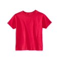 thumbnail image 1 of Rabbit Skins Toddler Cotton Jersey T-Shirt, 1 of 2