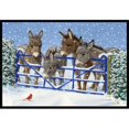thumbnail image 1 of Carolines Treasures ASA2209JMAT Donkeys & Cardinal Indoor or Outdoor Mat- 24 x 36, 1 of 4