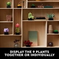 thumbnail image 2 of Artificial Succulent Plants Set for Adults Home Decor Birthday Housewarming Creative Gifts Plant Collection Bouquet Kit, 2 of 2