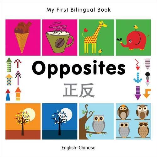 Mon Premier Livre Bilingue Opposite (Anglais-Arabique) (Édition Anglaise et Arabe)