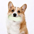 thumbnail image 2 of Jouet pour Chien en TPR Résistant, Simulation, Grincement des Dents, Jouet Sonore Interactif, Jouet pour Chien, 2 of 5