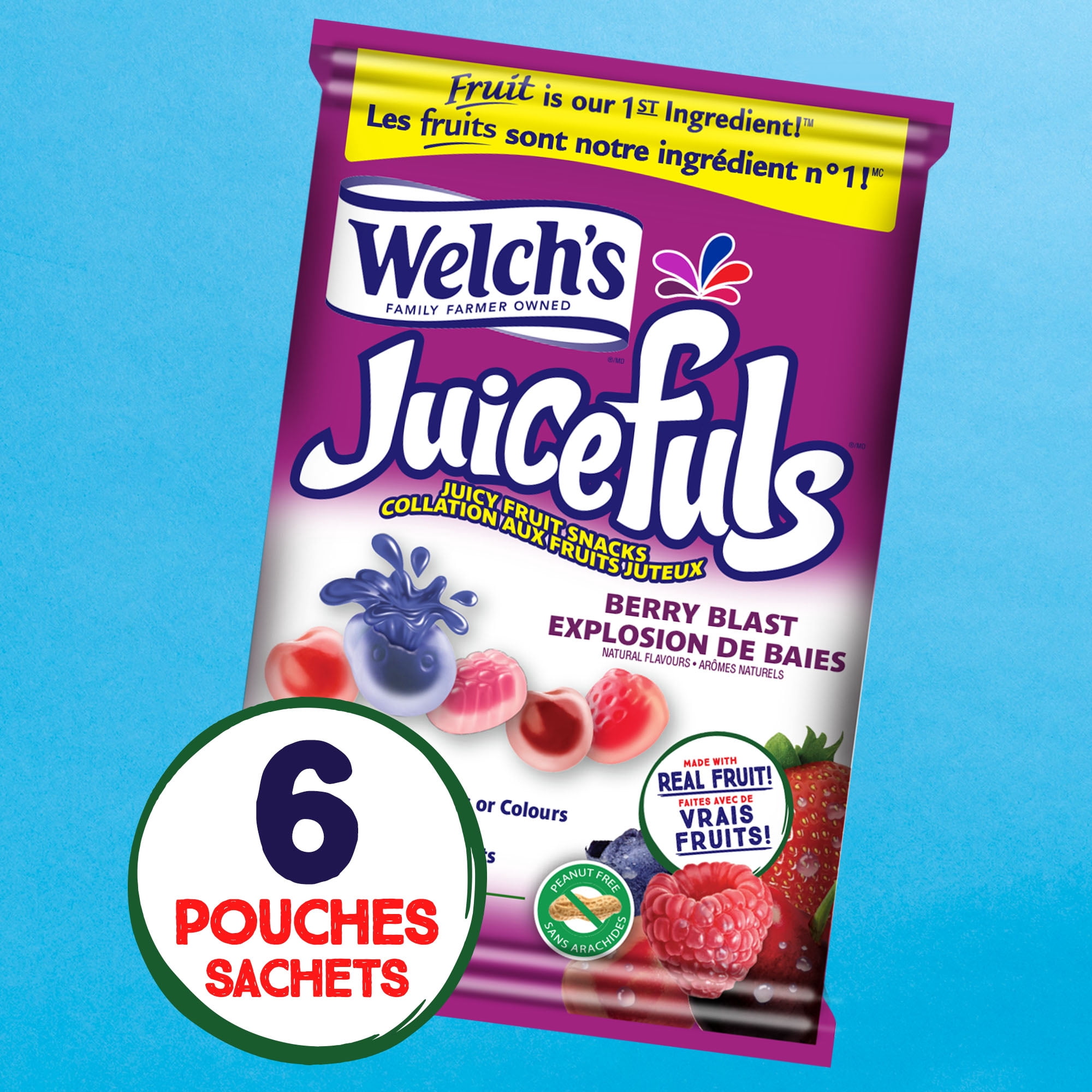 Welch's Collations aux Fruits, Explosion de Baies, Boîte de Collations de 6 Sachets, Collations Sans Gluten