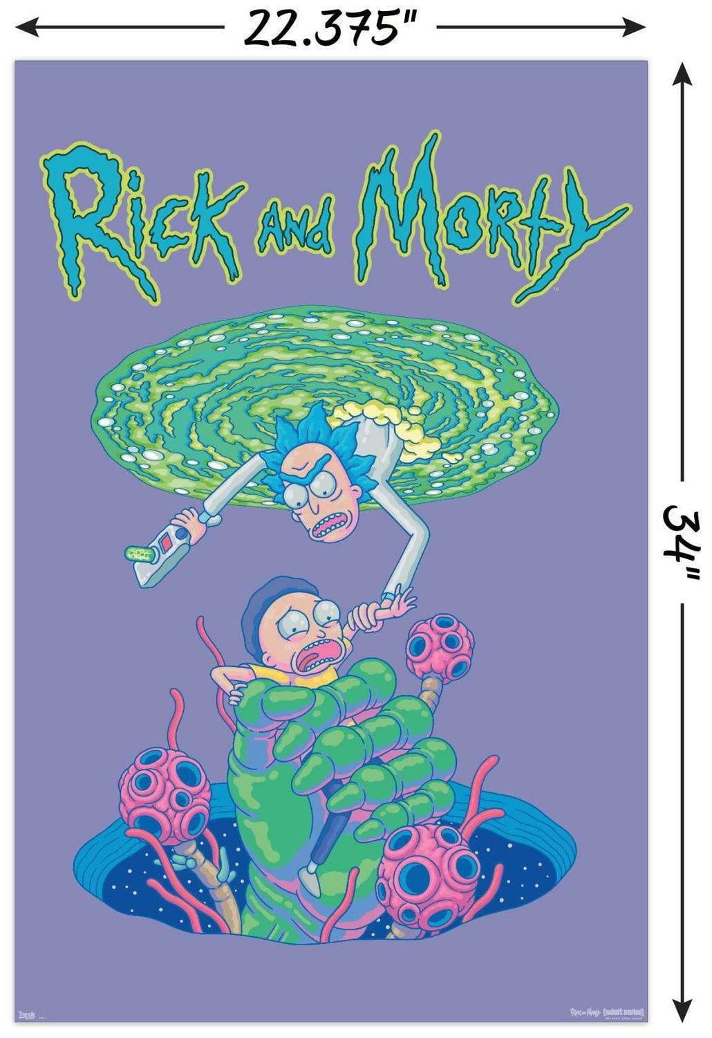 Rick And Morty - Portal Fall Wall Poster, 22.375" x 34"