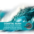 thumbnail image 3 of Refresh Your Car Air Freshener Vent Sticks, Coastal Rush Scent, 6 Pack, 3 of 9