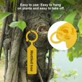 thumbnail image 4 of WALFRONT 100 PCS  Plant Tree Labels Hanging Name Tag Plastic Hanging Labels for Plant Tree Nursery Seedling Tags Garden Decor,Hanging Flower Label, Hanging Name Tag, 4 of 7
