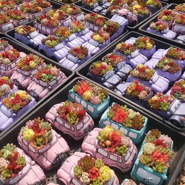 VONKY Small Planter Pots Durable And Stylish Addition To Any Space Plant Garden Ceramic Planter Pots purple car 1Set