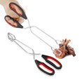 thumbnail image 1 of Transemion 2x Steel BBQ Tongs Impact-resistant Non-deformable TPR Handle For Comfortable Grip Barbecue, 1 of 6