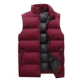 thumbnail image 1 of Veste Sans Manches Homme Mode Homme Uni Col Montant Cardigan Sans Manches Veste Manteau Rembourré, 1 of 5