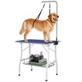 thumbnail image 1 of PawHut Table de Toilettage pour Chien, Table de Toilettage pour Animal de Compagnie avec Bras Ajustable, Bleu, 1 of 10