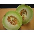 thumbnail image 4 of HJADGG Ultimate Melon Multi Seed Pack Collection- 100+ Melon Seeds-6 Varieties-Heirloom, 4 of 7