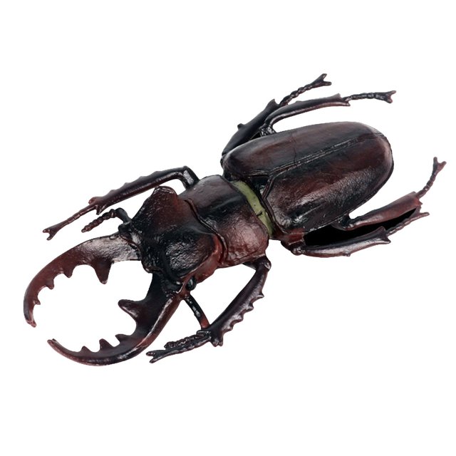 Dvkptbk Halloween Spider Children's Solid Simulation Insect Model Halloween Tricky Toy Spider Halloween Decorations on Clearance