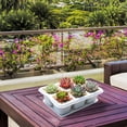 thumbnail image 1 of Wzzjkit Nursery Fleshiness Pots Reusable Planting Trays Suitable for Flowers Vegetables, 1 of 5