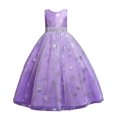 thumbnail image 2 of EGNMCR Vêtements pour Bébé Fille Robe pour Enfants Fille Sans Manches Robe de Princesse Motif Flocon de Neige Imprimé Tulle Longue Robe Canoniques, 2 of 9