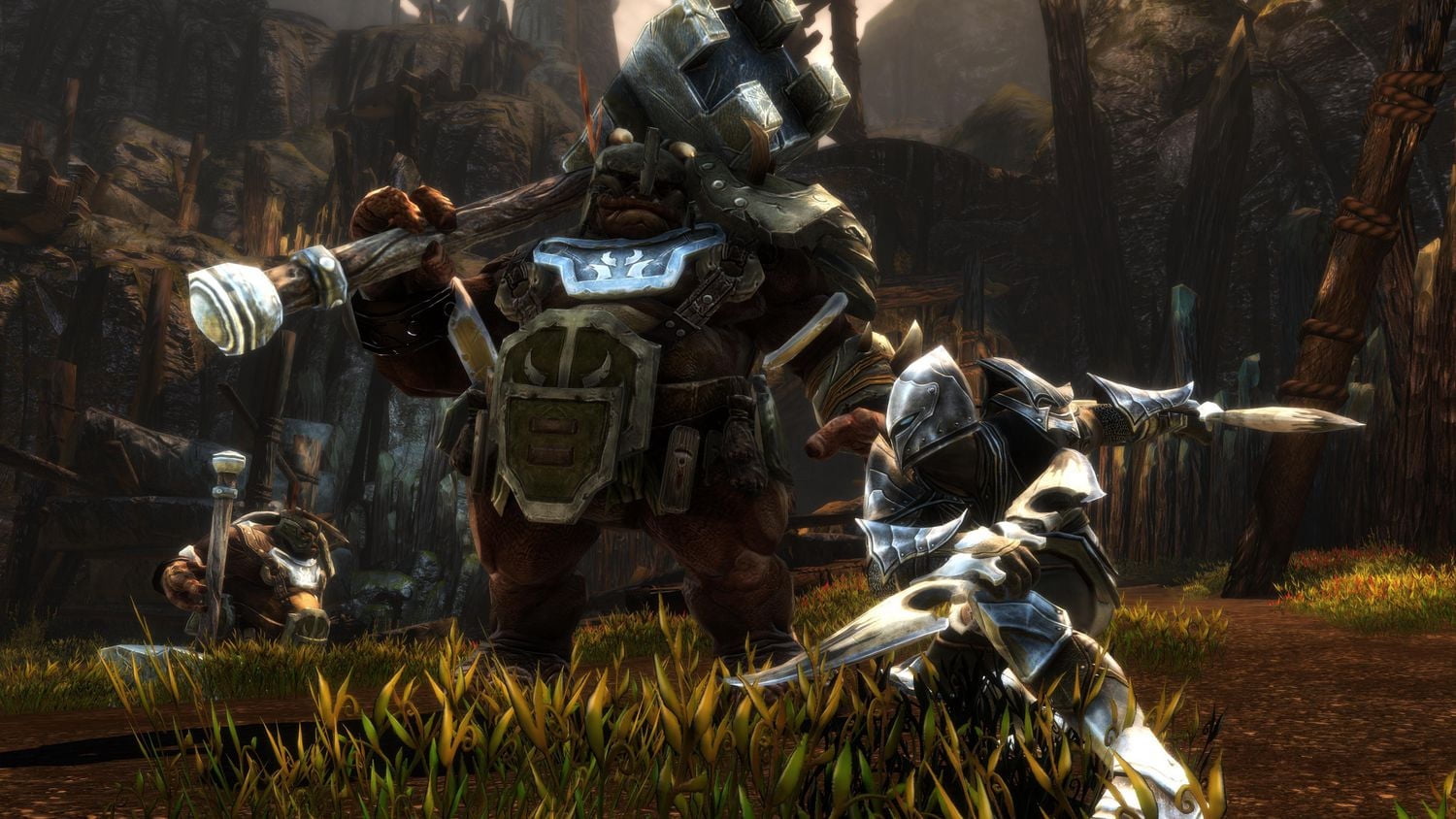 Jeu vidéo Kingdoms of Amalur Re-Reckoning pour (PS4)