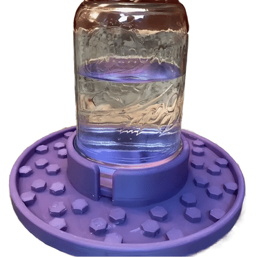 Base de Mangeoire pour Abeilles pour Bocal Mason à Bouche Régulière, Station d'Arrosage pour Abeilles, Base pour Tasses d'Abeilles pour Jardin