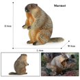 thumbnail image 1 of Oenux Wild Animals Simulation Rodent Marmot Mouse Model Squirrel Rat Chinchilla Action Figure Figurine Collection Cute Kid Toy, 1 of 10