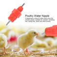 thumbnail image 4 of Chicken Drinker Drinking Nipple Feeding Accessory Easy Installation Poultry Waterer, Laying Hen Breeding Hen, 4 of 8