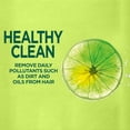 thumbnail image 3 of Garnier Fructis Pure Clean Zero Silicone Fortifying Shampoo for Normal to Oily Hair, with Citrus Extract, 370ml, 3 of 8