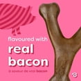 thumbnail image 2 of Benebone Essentials Wishbone, Bacon and Chicken, M/L, 2pk, 2 of 9