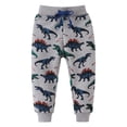 thumbnail image 1 of Pantalons de Jogging en Coton pour Garçons, Pantalons de Course avec Poches et Cordon de Serrage Gris, 1 of 6