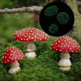 thumbnail image 3 of 3 Pcs Champignons Mini Miniatures Figurines Jardin Champignons Modèle Statue Ornements Paysage DIY, 3 of 8