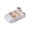 B, variant on EGNMCR Fiber Car Food Tray Division Cute Split Design Set Bowl Tableware a dish