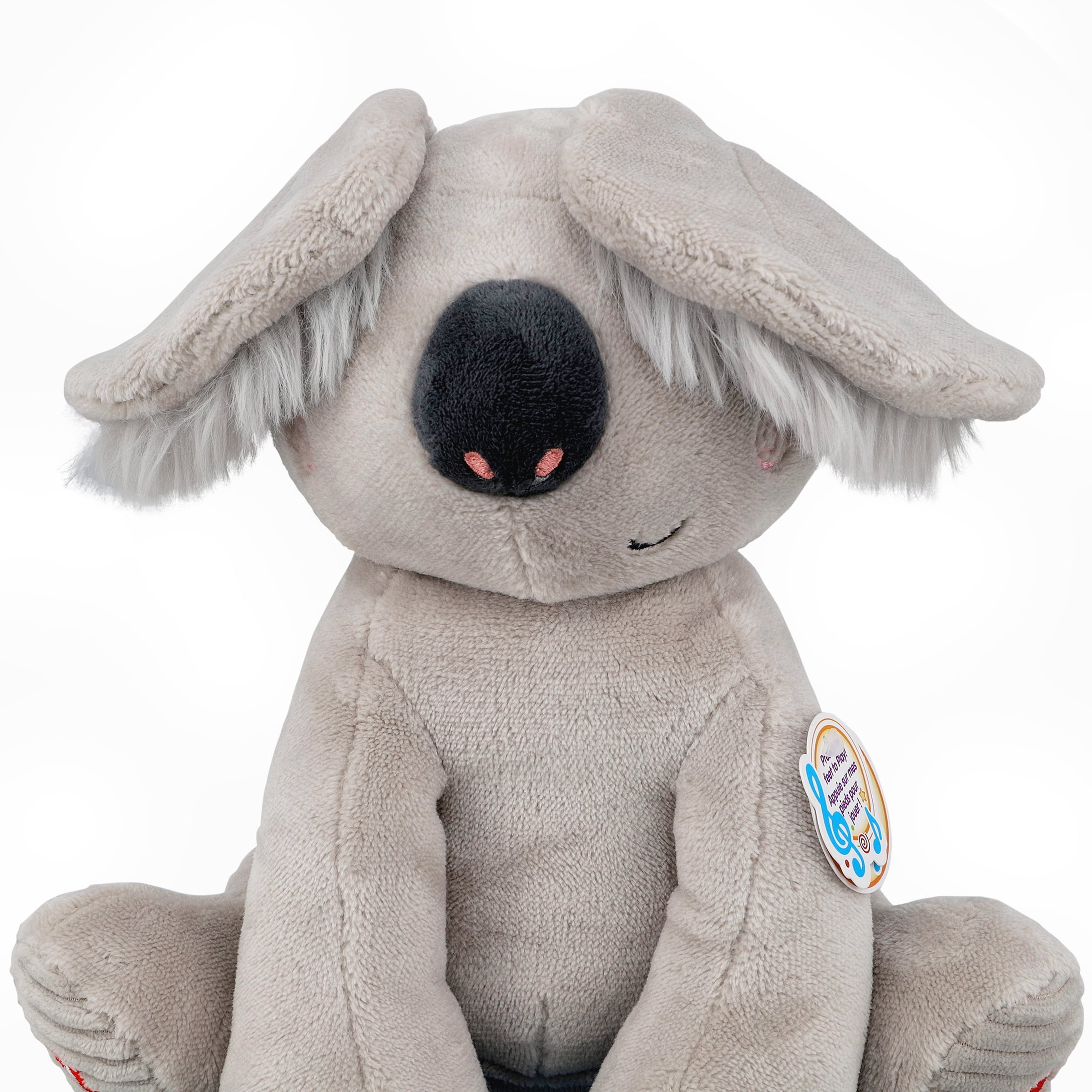 Koala coucou Spark Create Imagine