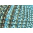 thumbnail image 1 of Ahgly Company Tapis d'Intérieur Rectangulaire Transitionnel Vert Turquoise Moyen, Lavable à la Machine, 5 Pieds x 8 Pieds, 1 of 7