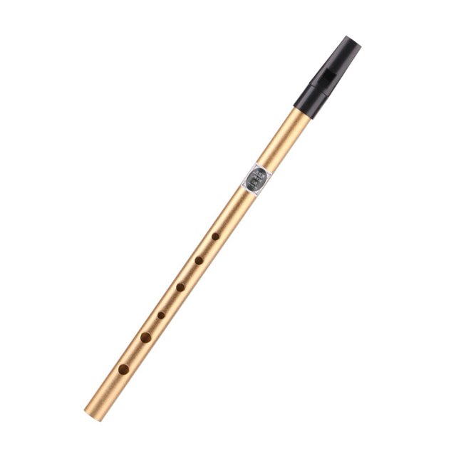 Flûte Irlandaise C/D Clé Étain Penny Sifflet 6 Trous Flûte Instrument