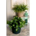 thumbnail image 4 of The HC Companies 12" Classic Flower Pot Planter, Terra Cotta (4 Pack), 4 of 6