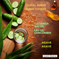 thumbnail image 3 of Savon moussant pour les mains Scent Theory, Concombre et Aloès vert, 325 mL, 3 of 9