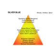 thumbnail image 2 of MANCERA SILVER BLUE by Mancera , EAU DE PARFUM SPRAY 4 OZ, 2 of 3
