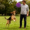 thumbnail image 3 of Durable Rubber Chew Proof Training Disc for Dogs Interactive Play Outdoor Toy Mental Stimulation Non Design, 3 of 4
