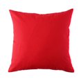 thumbnail image 2 of Coussin carré d'extérieur 18in - aqua (paquet de 2), 2 of 5