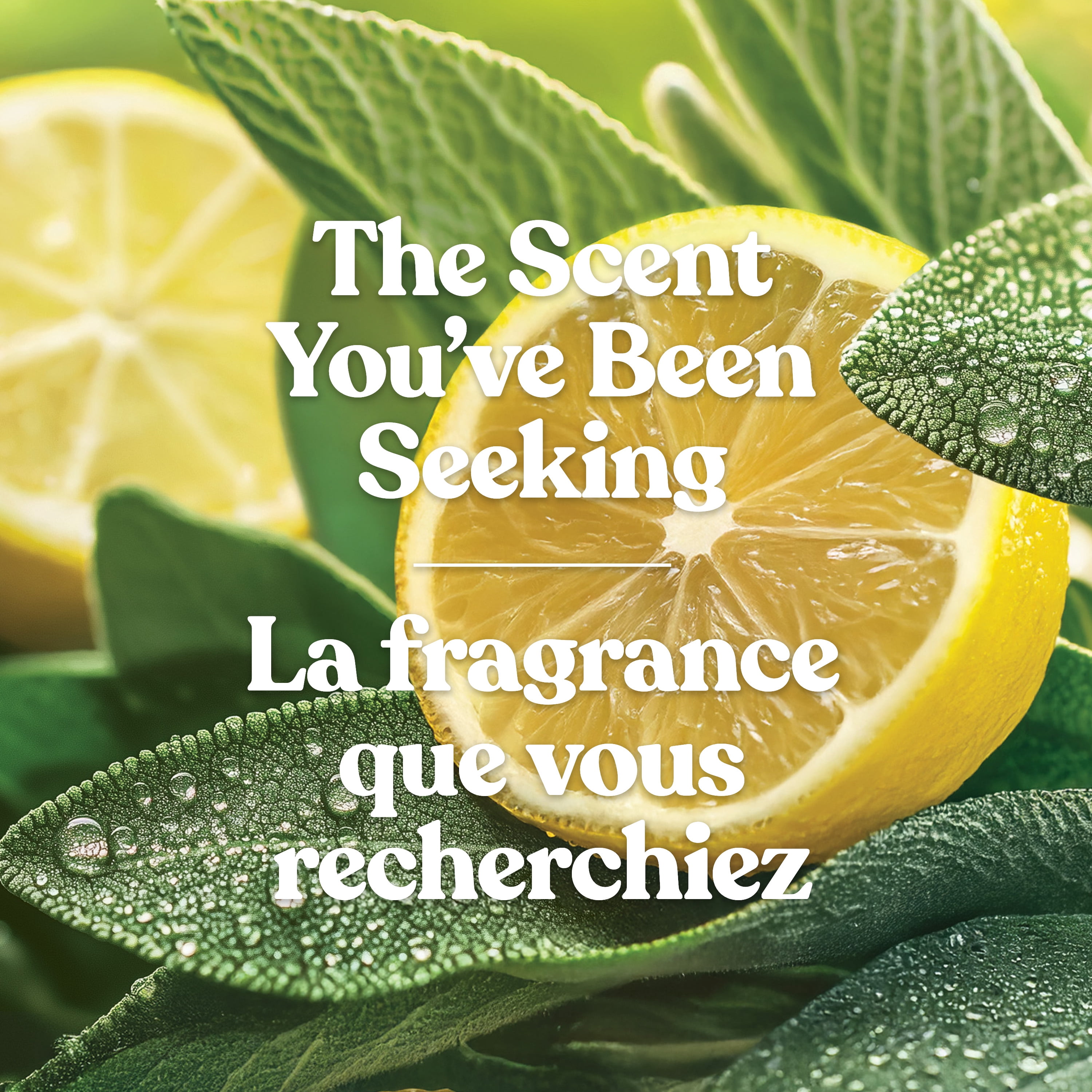 Bougie parfumée Yankee Candle Signature