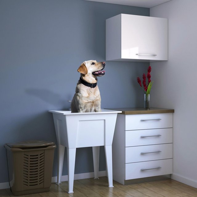 A&E Bath and Shower DALARY Utility Sink in grey with a yellow Labrador sitting inside, set in a laundry room with white cabinetry, wooden countertop, and brown hamper, featuring a deep basin and adjustable legs, ideal for handwashing and cleaning chores.