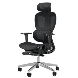 PatioMage chaise de bureau ergonomique Mesh avec 3D Accoudoirs réglables, Chaise d'ordinateur High Back Desk Ergo3d chaise de bureau ergonomique avec roues pour la maison & Bureau noir