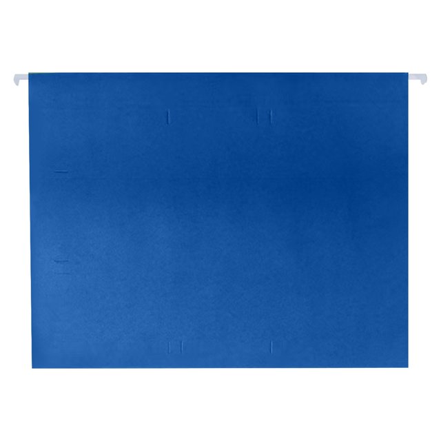 ZTTD Hanging File Folders, 1 Pack Letter Size Hanging File Folders, Sturdy Expandable Document Organizer, Letter Size, Ideal for Home and Office Organization and Papers Classification